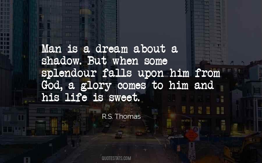 R S Thomas Quotes #1164317