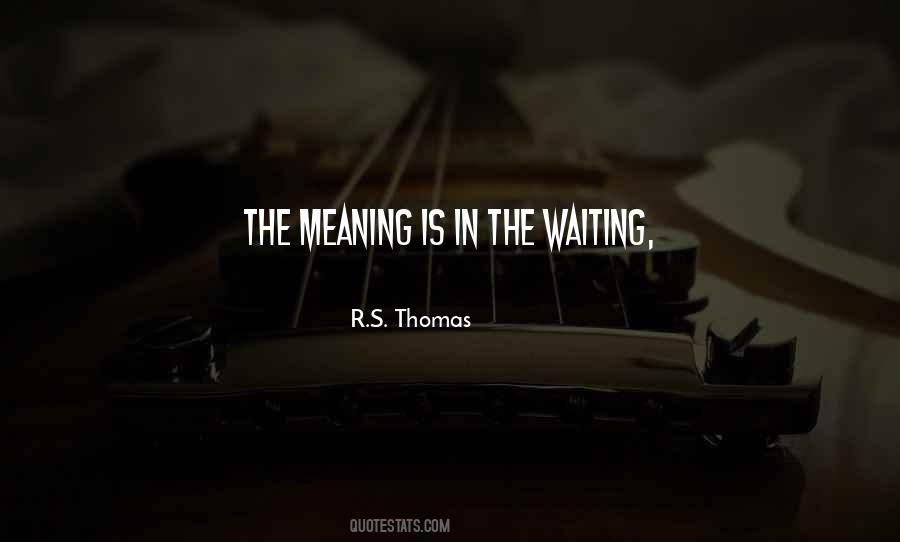 R S Thomas Quotes #937147