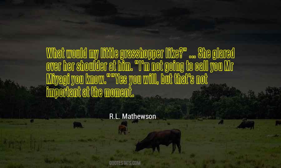 R.l Mathewson Quotes #1235975