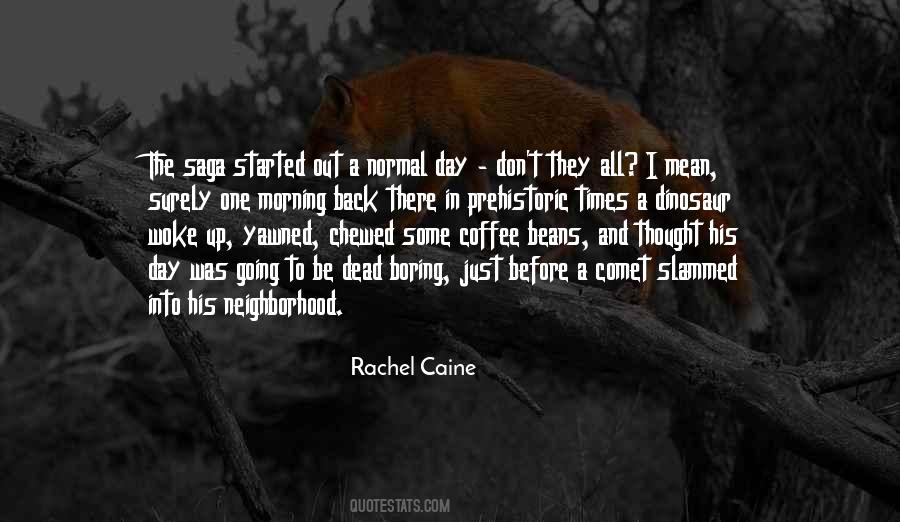 Rachel Caine Quotes #63756