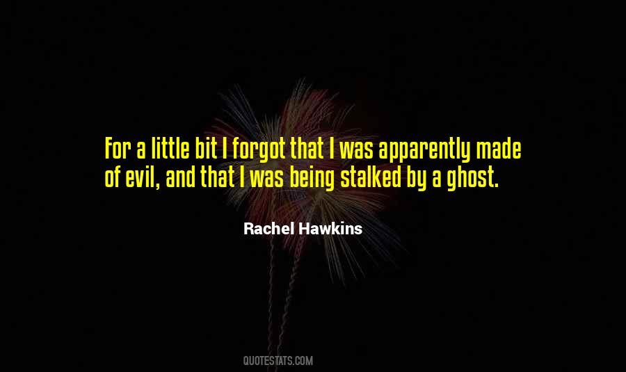 Rachel Hawkins Quotes #380006