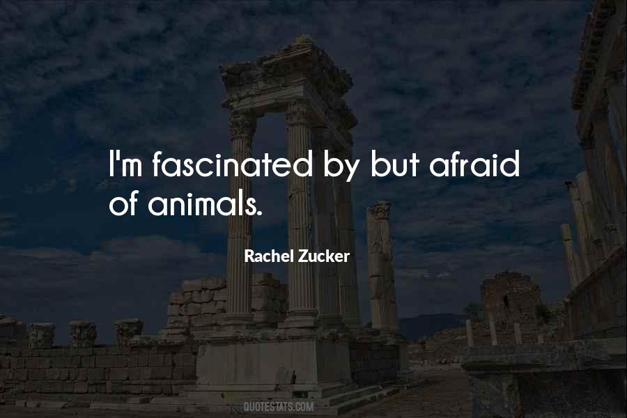Rachel Zucker Quotes #423956