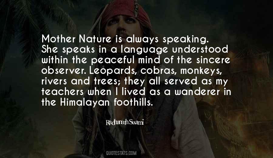 Radhanath Swami Quotes #269082
