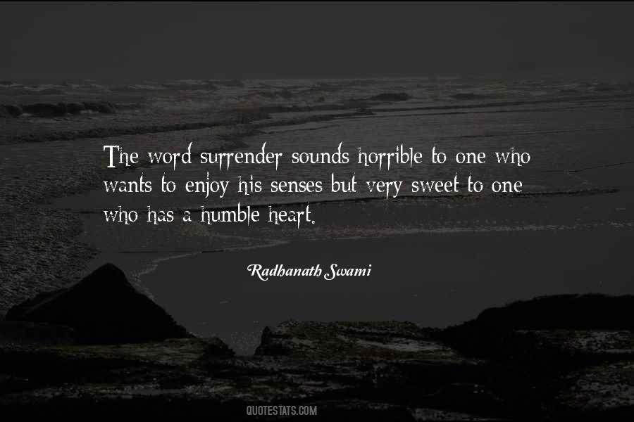 Radhanath Swami Quotes #379922
