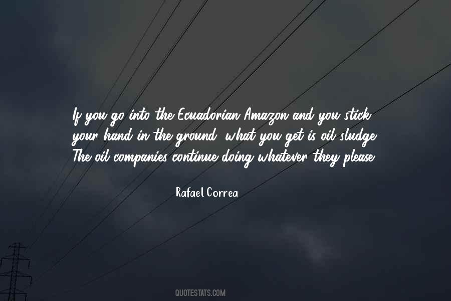 Rafael Correa Quotes #73882