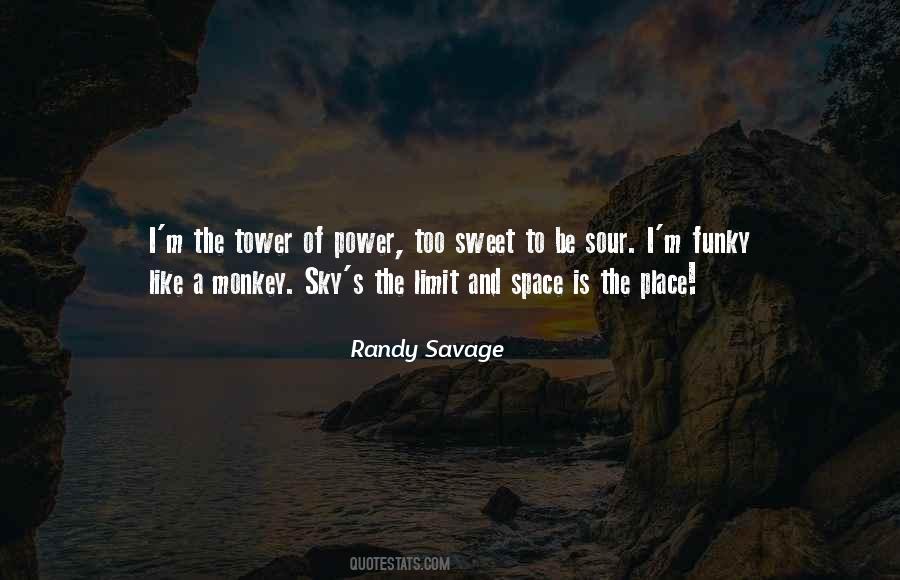 Randy Savage Quotes #696260