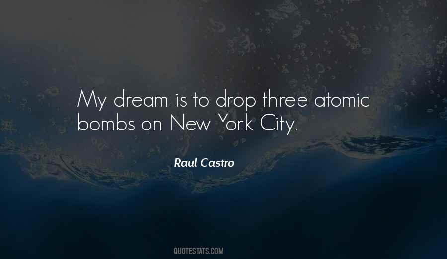 Raul Castro Quotes #716577