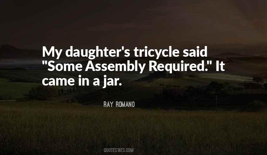 Ray Romano Quotes #346696