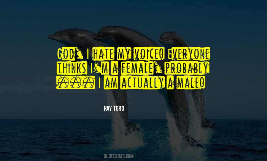 Ray Toro Quotes #16934