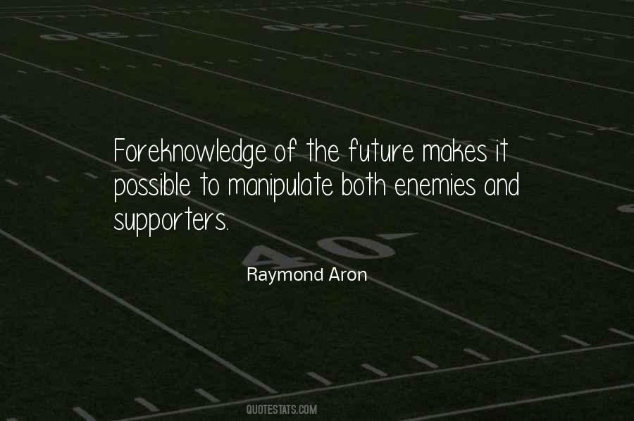 Raymond Aron Quotes #448620