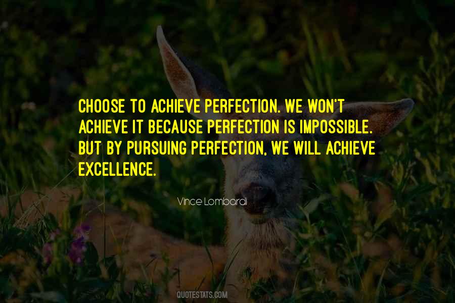 Quotes About Pursuing Perfection #870125