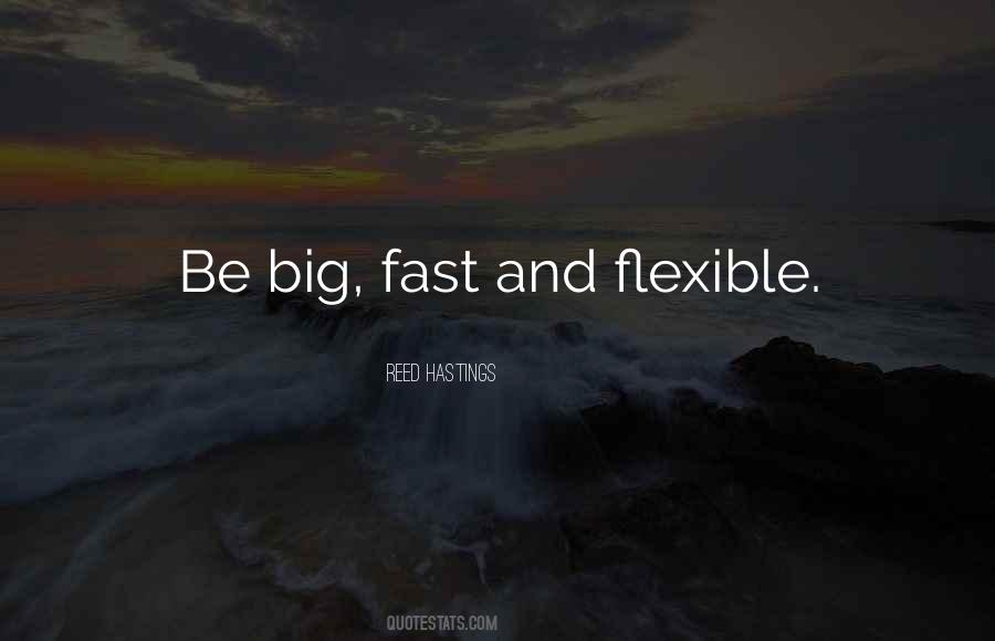 Reed Hastings Quotes #406682