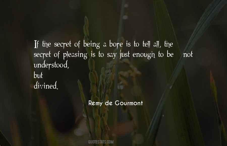 Remy De Gourmont Quotes #1342011