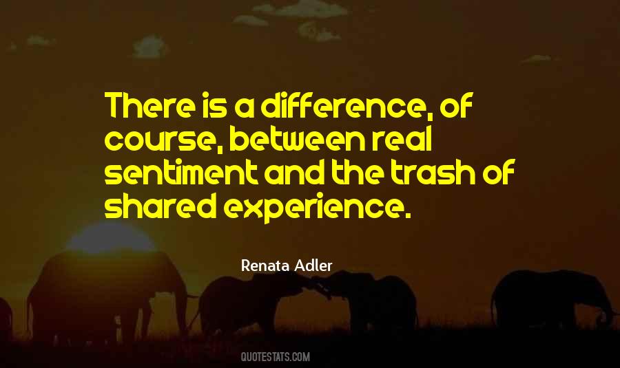 Renata Adler Quotes #1569394