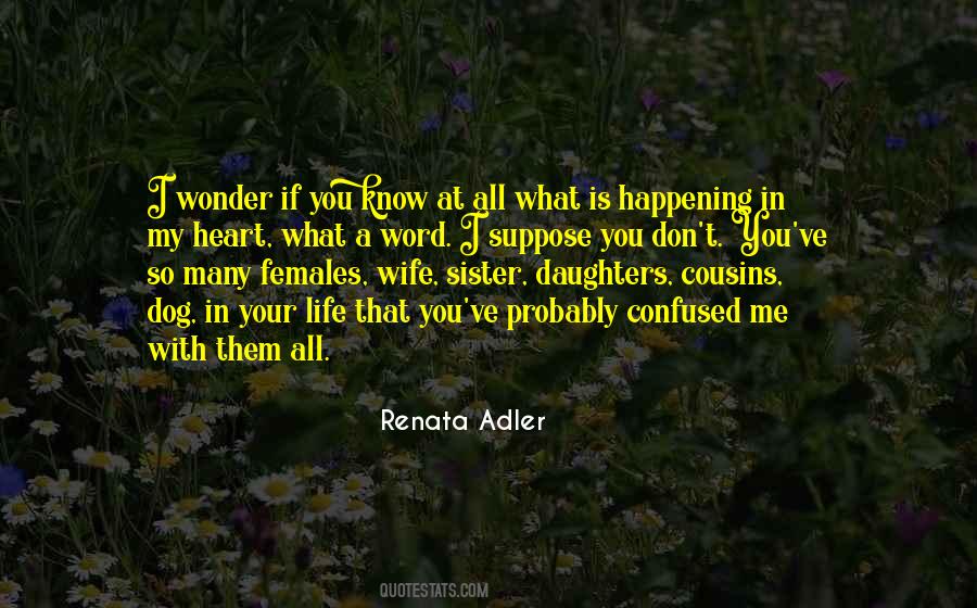 Renata Adler Quotes #587554