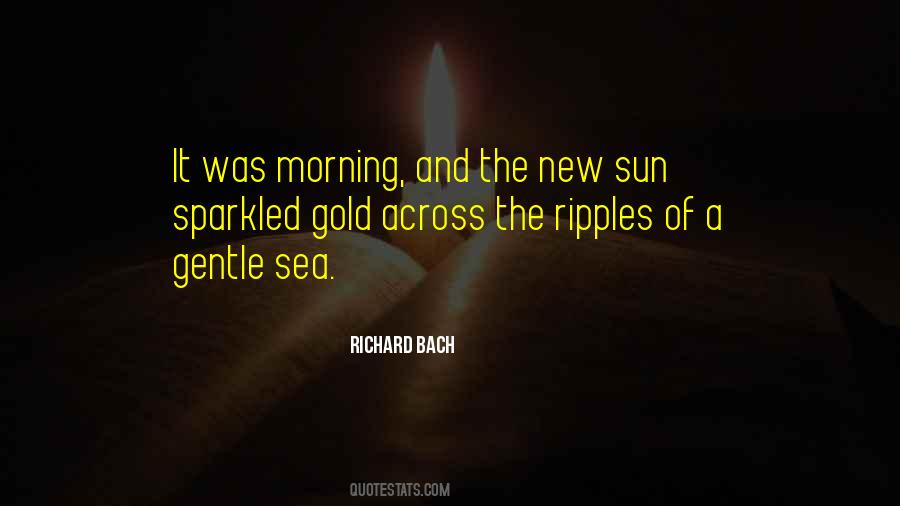 Richard Bach Quotes #27748