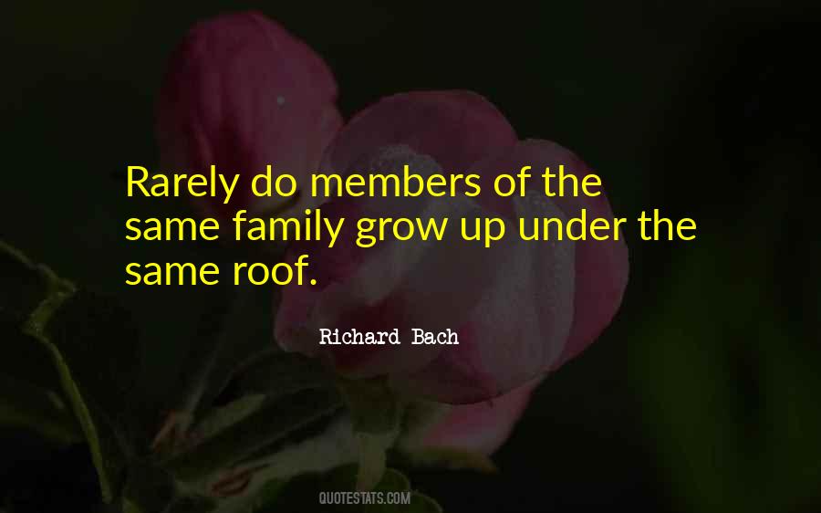 Richard Bach Quotes #369096