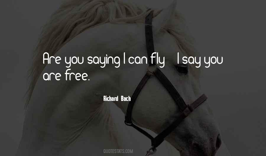 Richard Bach Quotes #48317