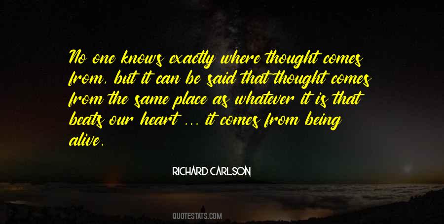 Richard Carlson Quotes #204807