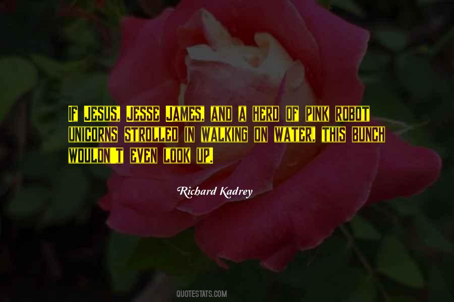 Richard Kadrey Quotes #455547