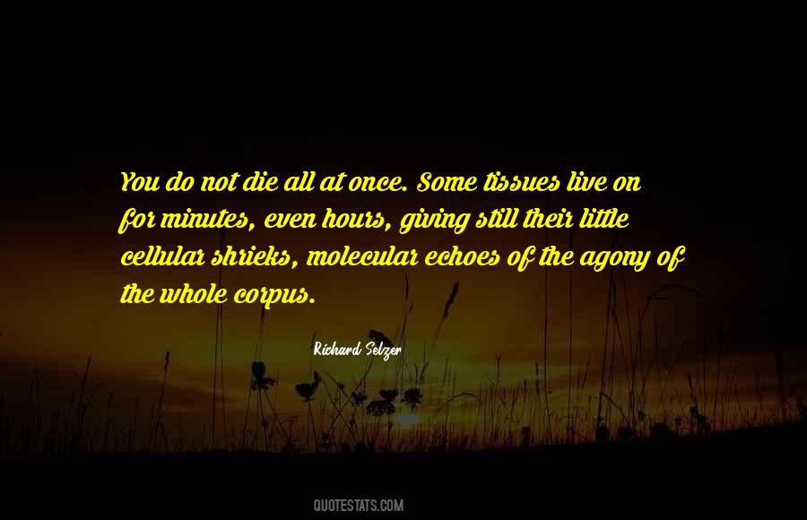 Richard Selzer Quotes #710064