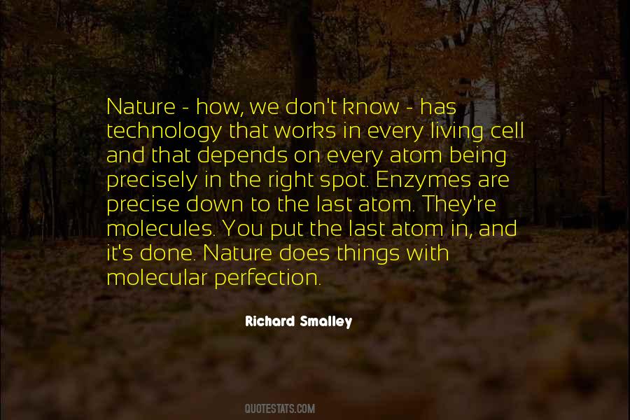 Richard Smalley Quotes #393806