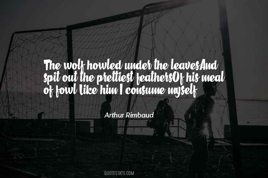 Rimbaud Arthur Quotes #573818