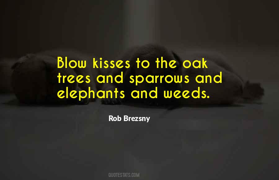 Rob Brezsny Quotes #1539152