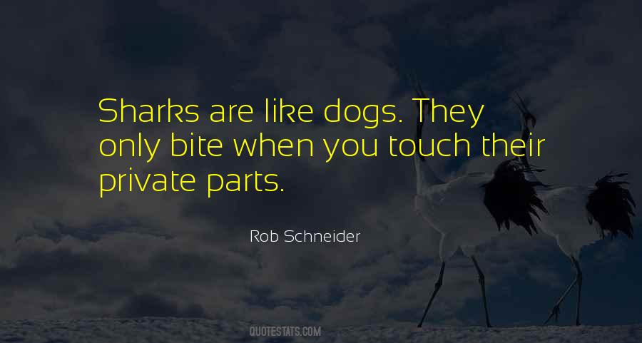 Rob Schneider Quotes #619317