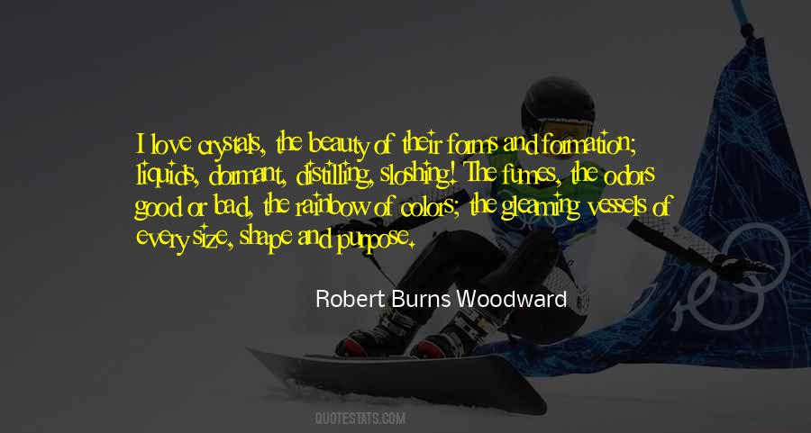 Robert Burns Woodward Quotes #832939