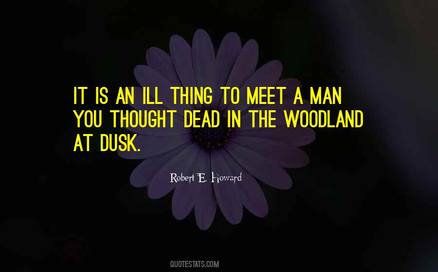 Robert E Howard Quotes #489736