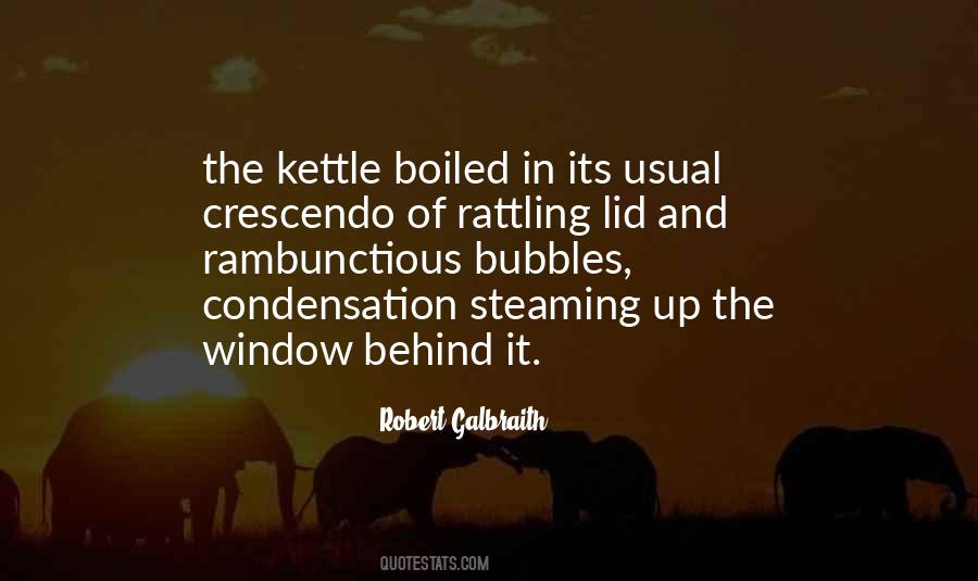 Robert Galbraith Quotes #225504