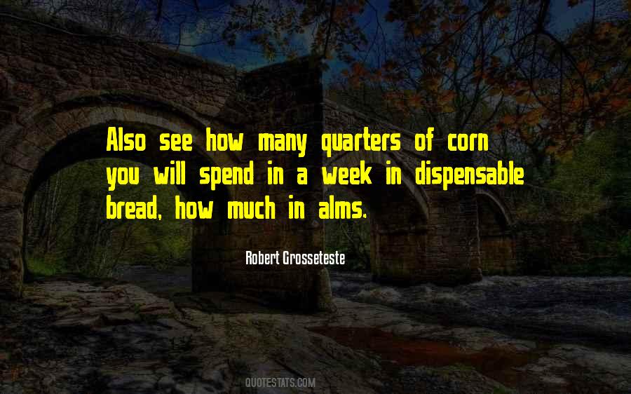 Robert Grosseteste Quotes #236510