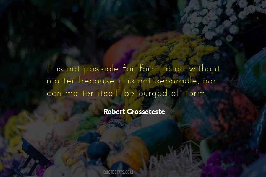 Robert Grosseteste Quotes #729664