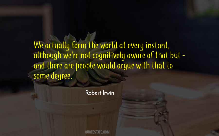 Robert Irwin Quotes #1779956