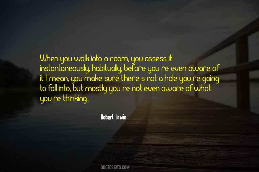 Robert Irwin Quotes #6896 Robert Irwin Quotes #6896