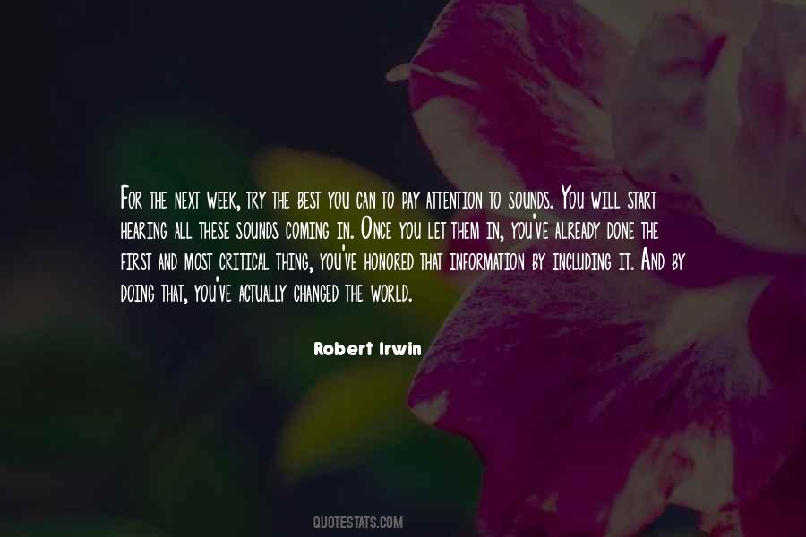 Robert Irwin Quotes #905511