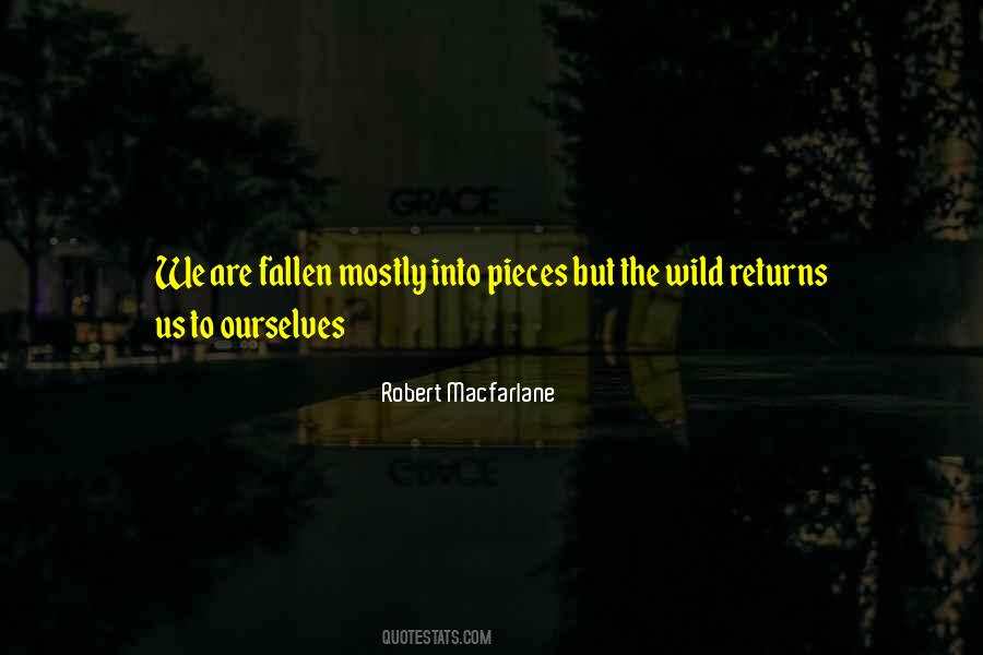 Robert Macfarlane Quotes #324460