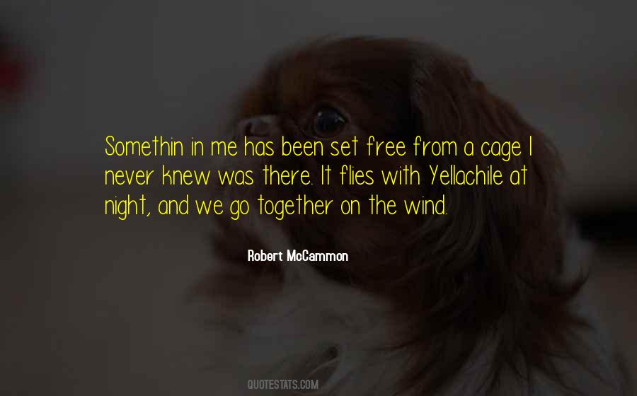 Robert Mccammon Quotes #79638