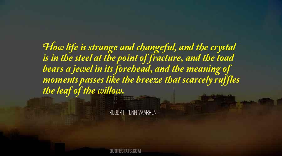 Robert Penn Warren Quotes #719209