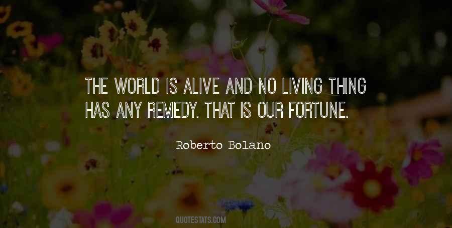 Roberto Bolano Quotes #750594