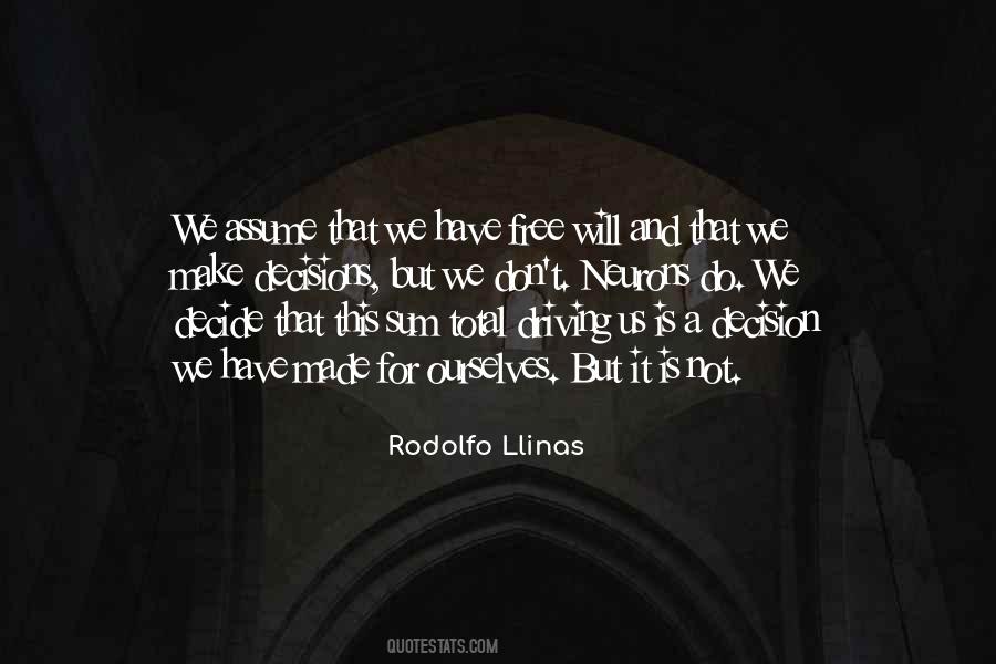 Rodolfo Llinas Quotes #1376332