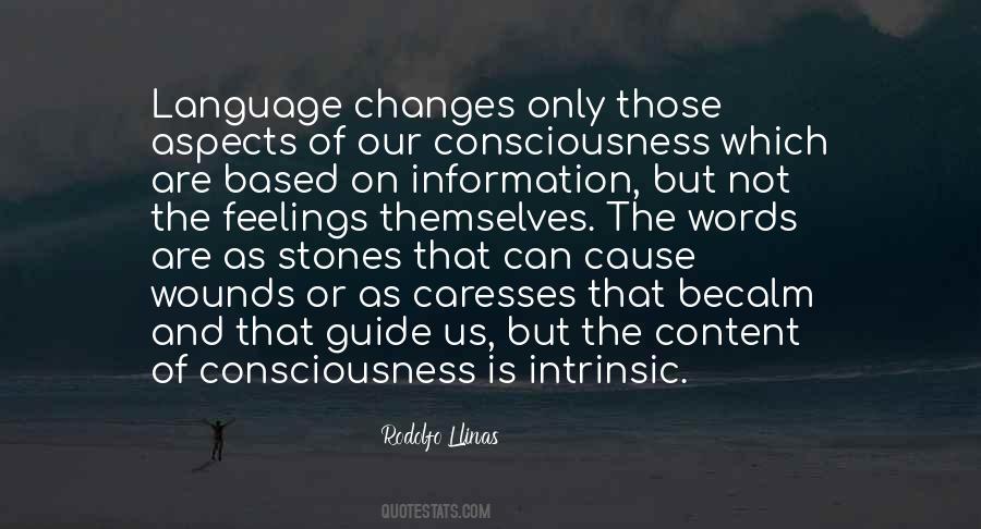 Rodolfo Llinas Quotes #1870178