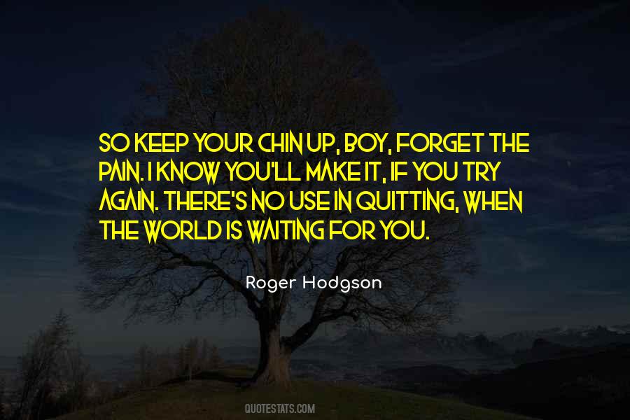 Roger Hodgson Quotes #771291