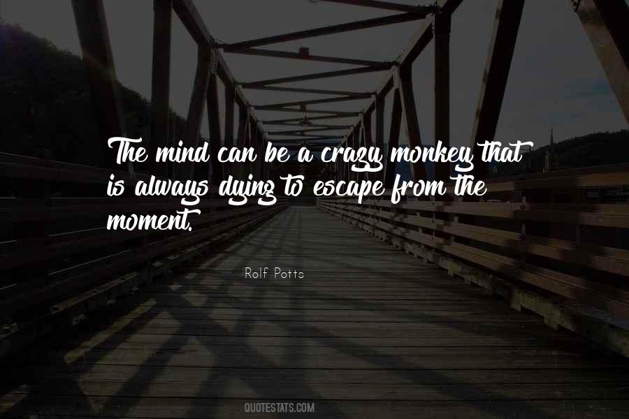 Rolf Potts Quotes #453354