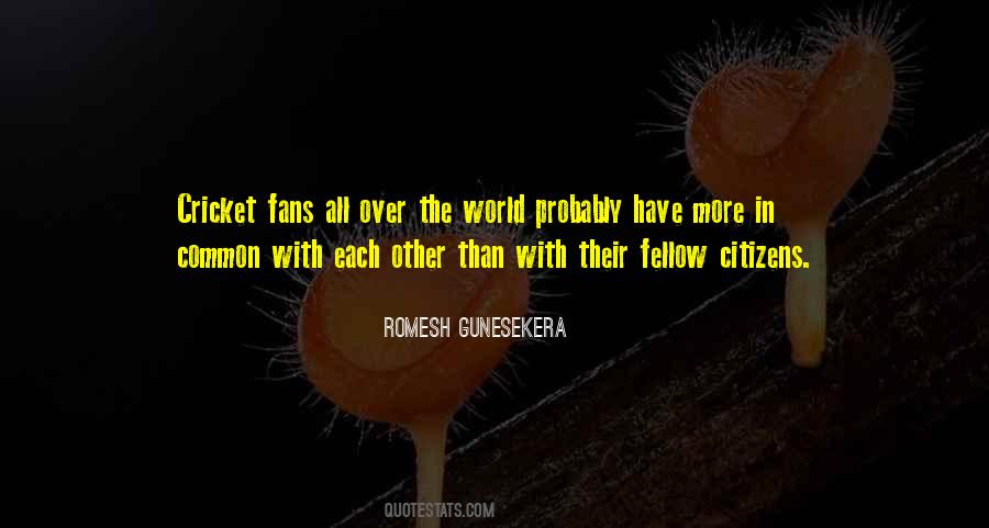 Romesh Gunesekera Quotes #305028