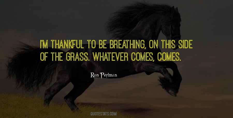 Ron Perlman Quotes #1483723