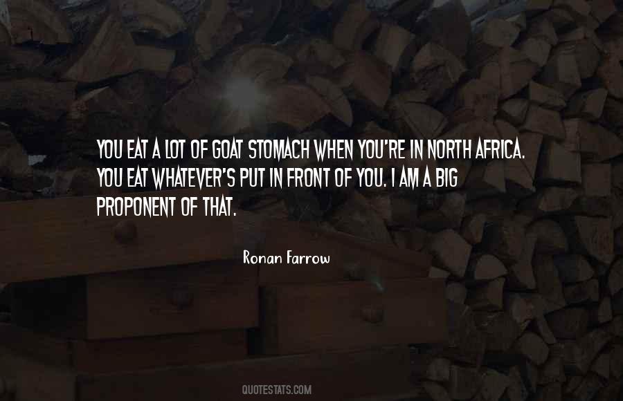 Ronan Farrow Quotes #588270