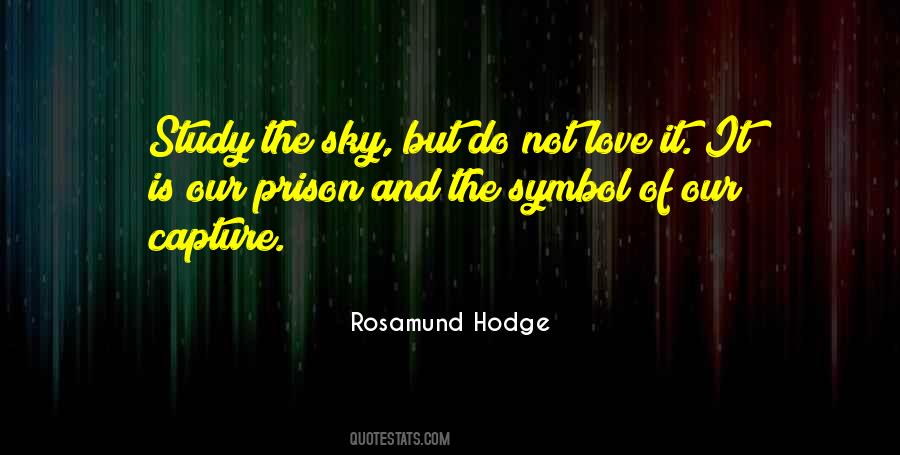 Rosamund Hodge Quotes #963991