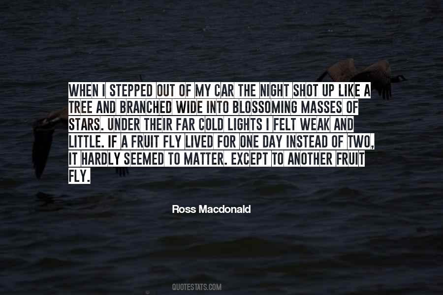 Ross Macdonald Quotes #105042